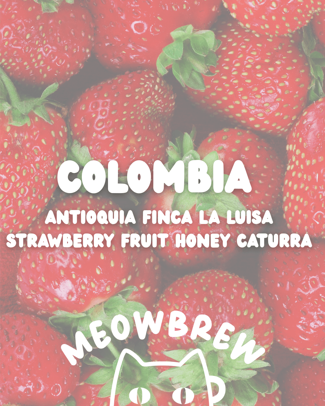 Colombia Antioquia Finca La Luisa Strawberry Fruit Honey Caturra 🍓
