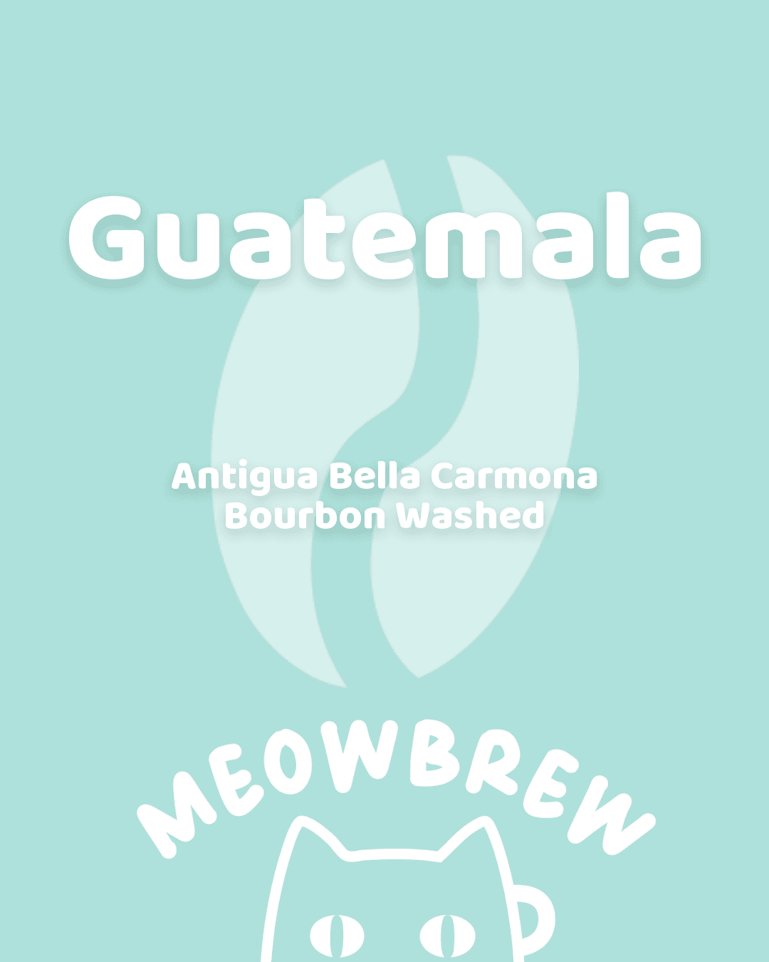 Guatemala Antigua Bella Carmona Bourbon Washed