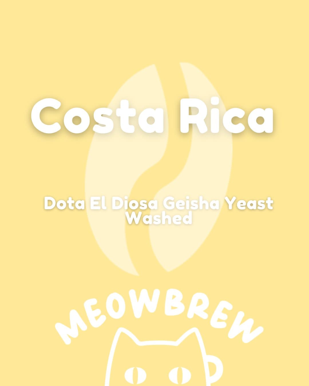 Costa Rica Dota El Diosa Geisha Yeast Washed